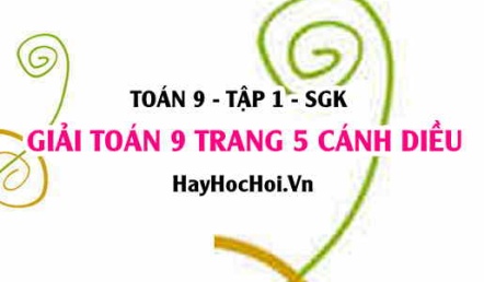 Giải Toán 9 trang 5 tập 1 Cánh Diều SGK